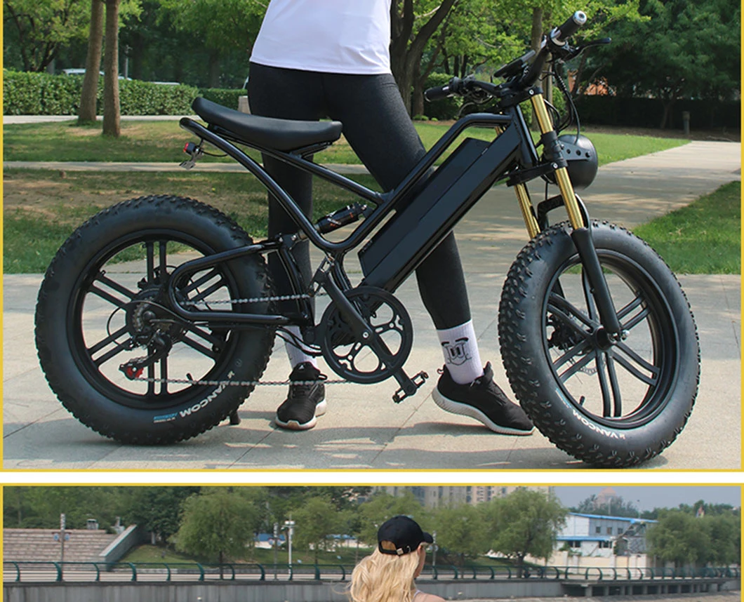 Daurada Made in China MTB 7 Speed Hunting / Climbing /High Quality New Battery 48V 500W Fat Tire Electric Bike Snow Bike Motorcycle Mountain Electric Bike