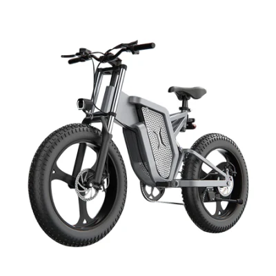 40-120 km Ebike preço de fábrica 1000 W 20 polegadas pneu gordo bateria escondida bicicleta elétrica